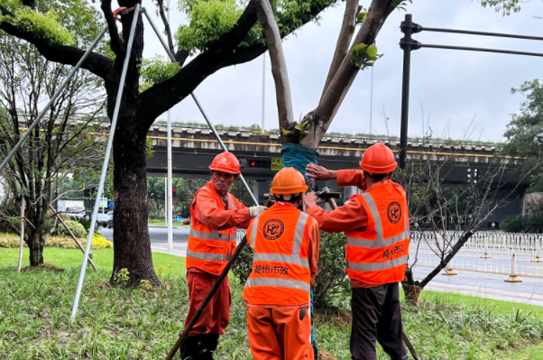 202307062077.png 202307062077.png