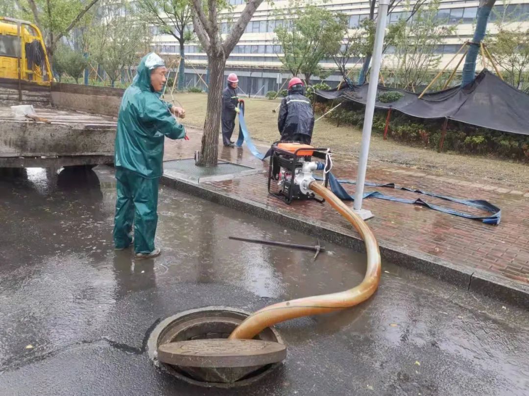 202307064935.jpg 202307064935.jpg