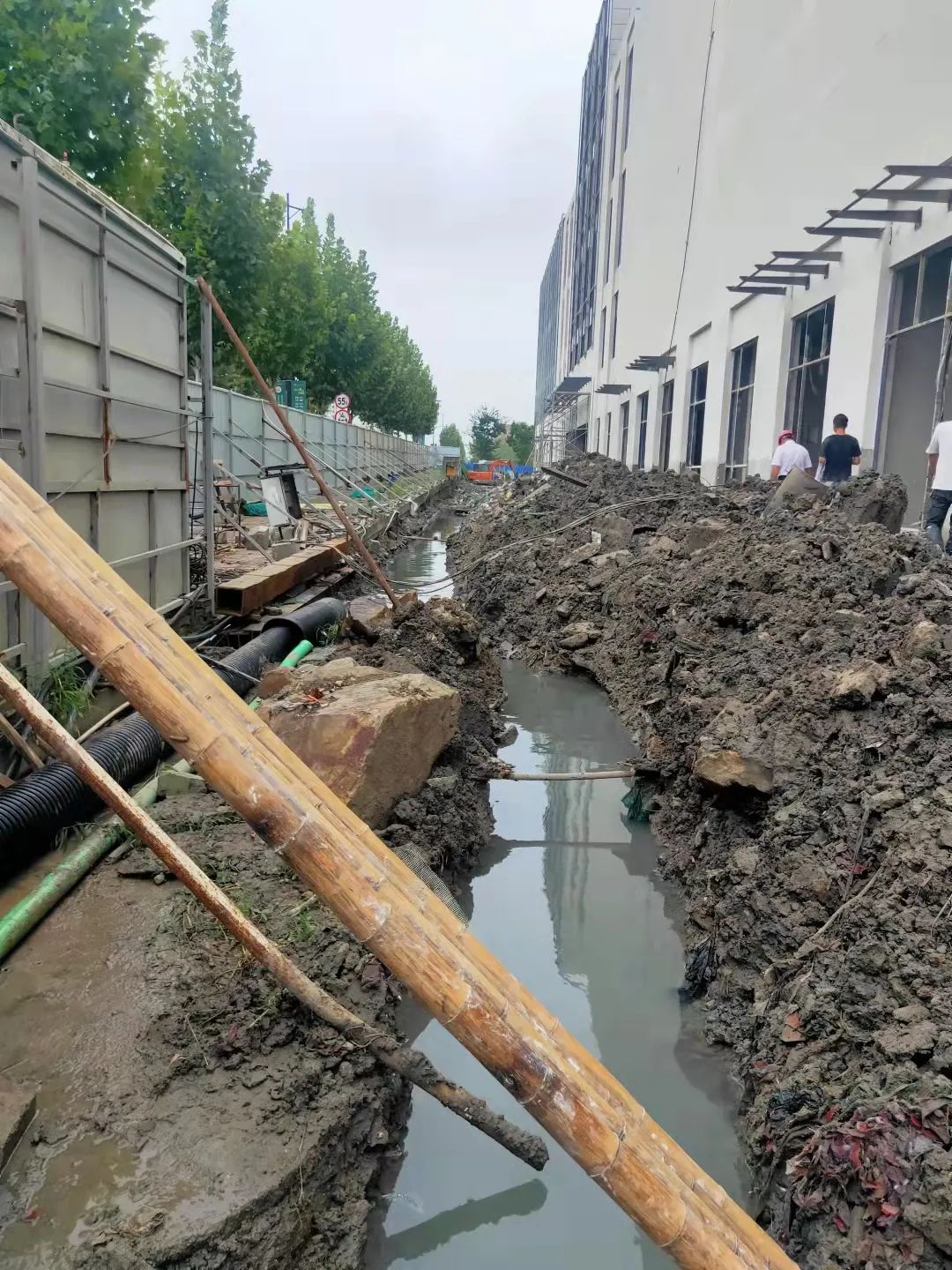 202307065805.jpg 202307065805.jpg