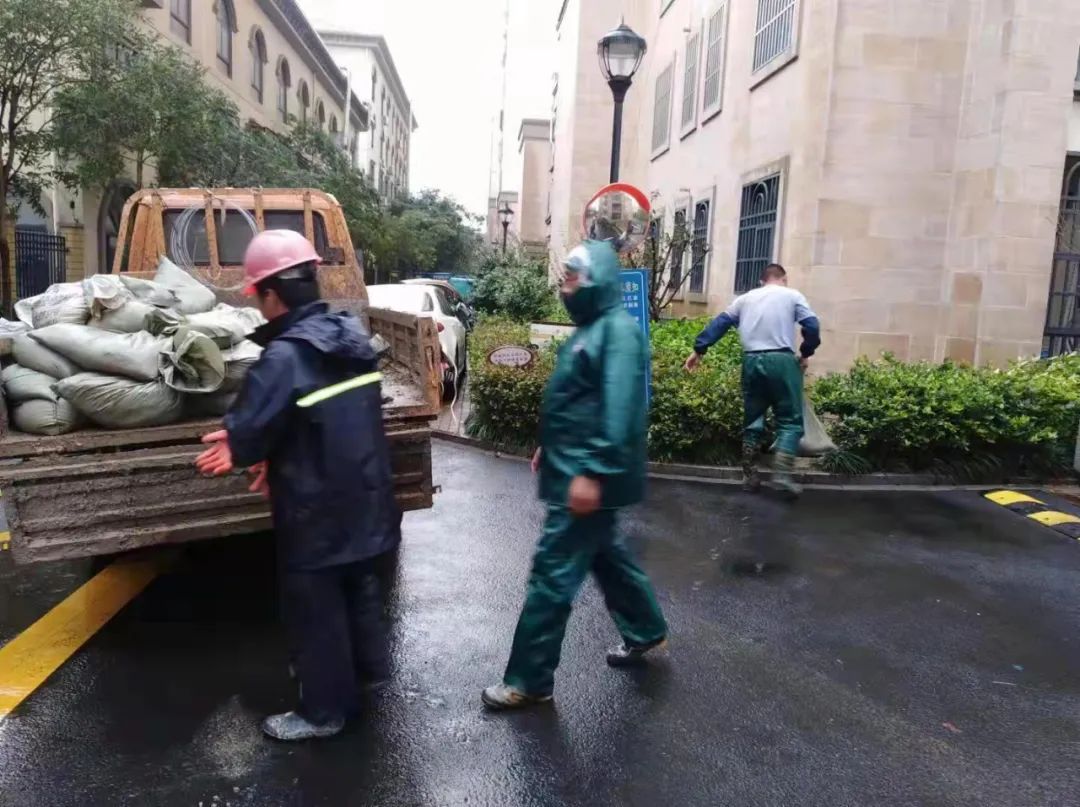 202307069591.jpg 202307069591.jpg