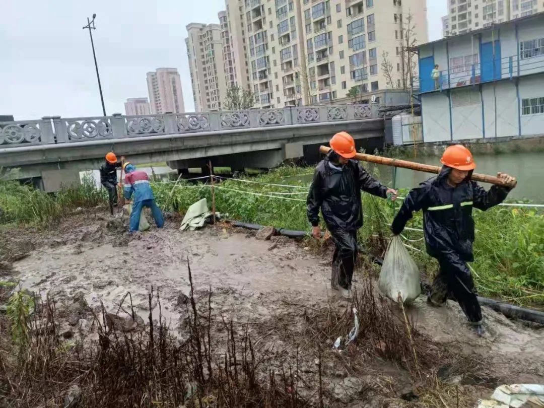 202307078295.jpg 202307078295.jpg